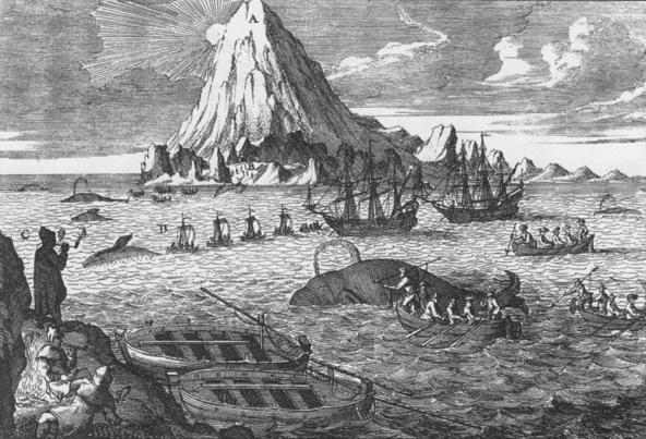 Nederlandse walvisvaarders - 18e eeuw