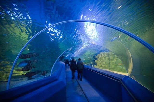 Turkuazoo Aquarium Istanbul