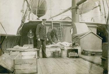 Titanic 1280px-BodyofRMSTitanicvictimaboardrescuevesselCSMiniaAprilorMay1912