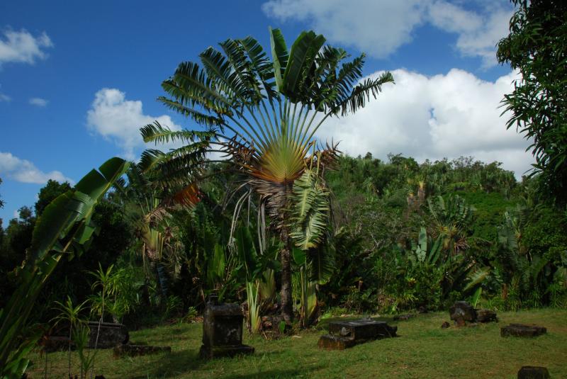 Adobe-Madagaskar-1