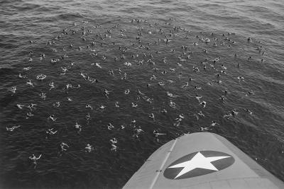 Drenkelingen USS Indianapolis Drenkelingen-USS-Indianapolis