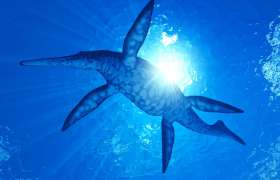 Shonisaurus sikanniensis