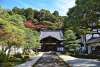 Japan 3864847 1280